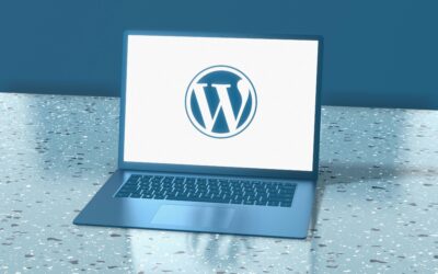 The reason for using WordPress for your digital presence